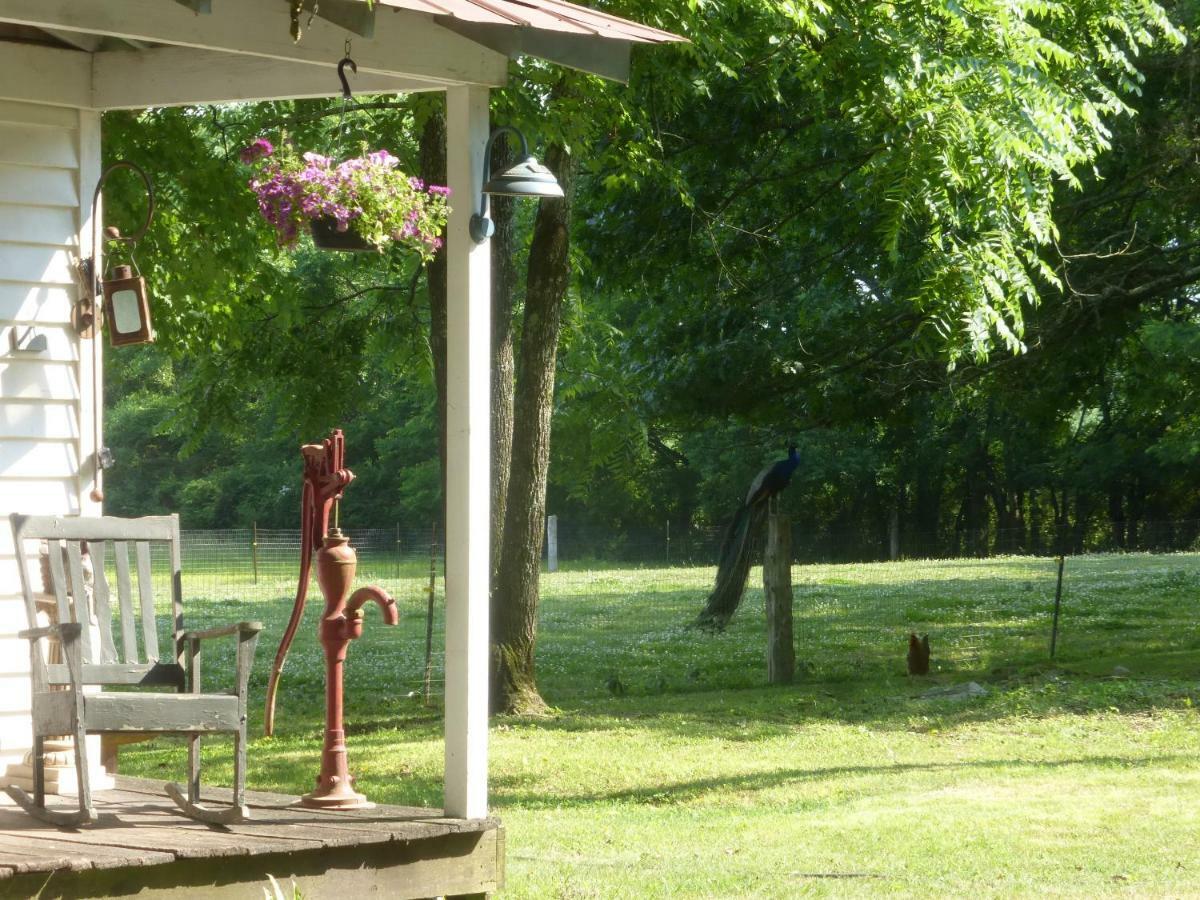 Mulberry Lavender Farm And B&B エクステリア 写真