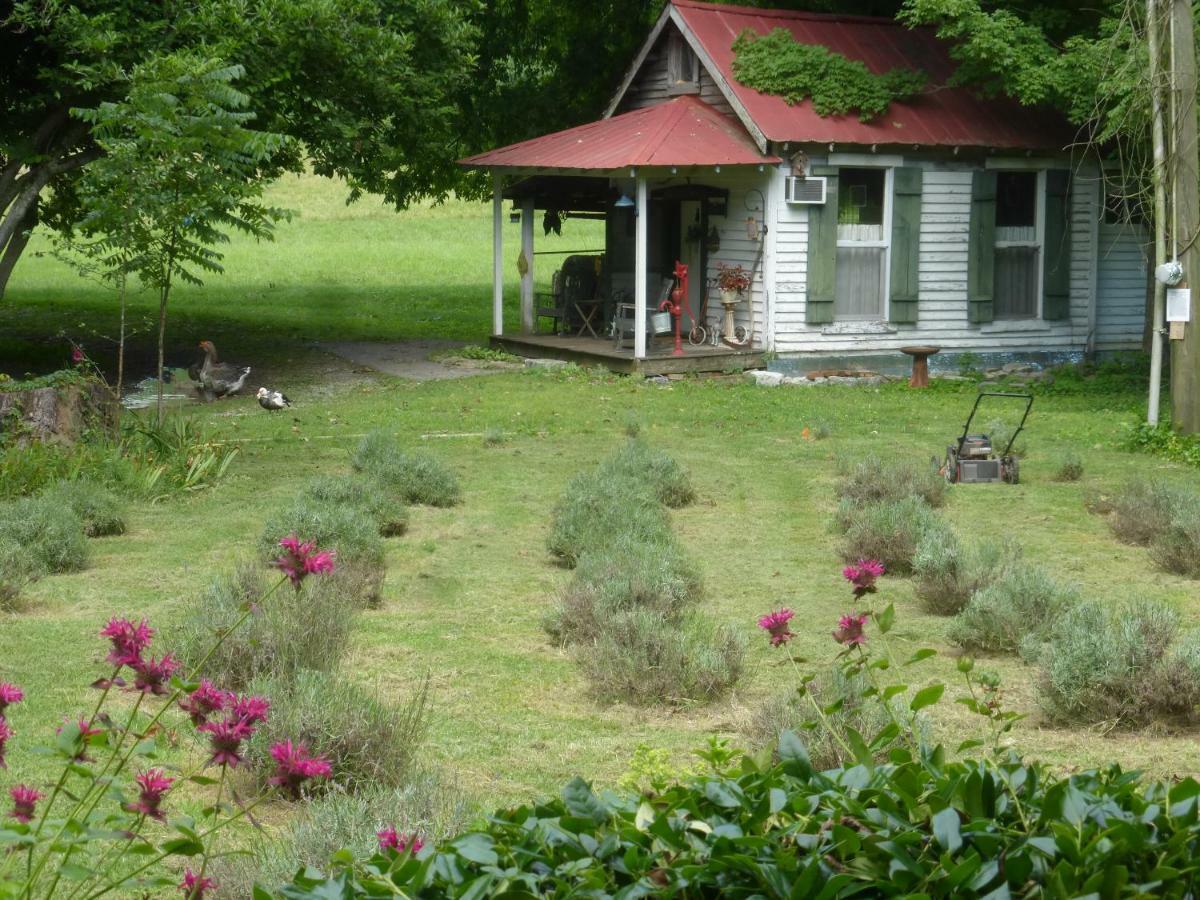 Mulberry Lavender Farm And B&B エクステリア 写真